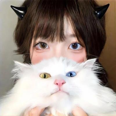 恶魔法则